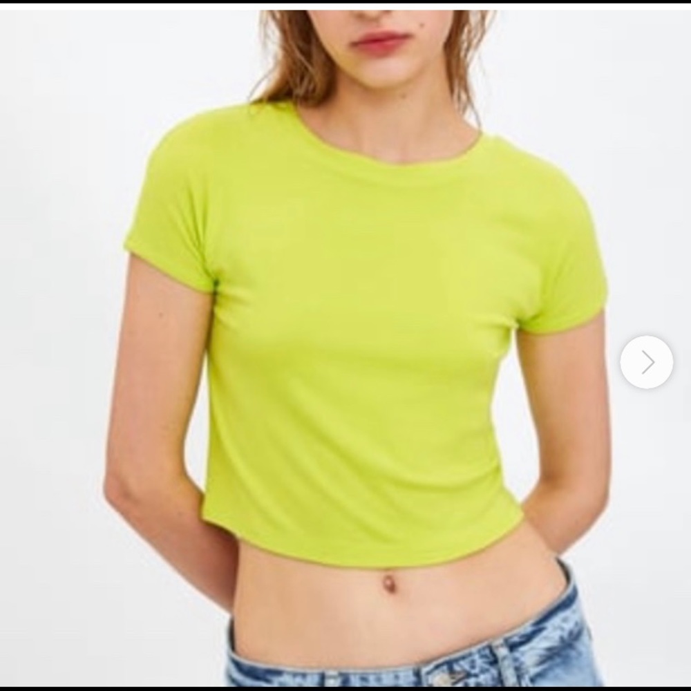 Zara basic crop top